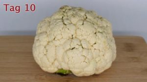 Alles zur Haltbarkeit von Blumenkohl - ist er schlecht oder abgelaufen?