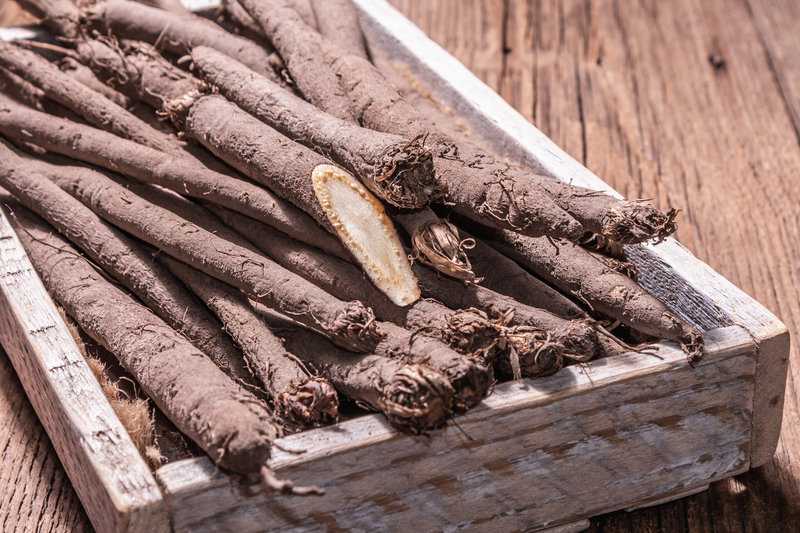 Schwarzes Gemüse: 8 leckere Sorten (mit vielen Bildern)