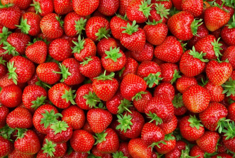 Obst mit E am Anfang (Liste mit vielen Bildern) - foodwissen.de