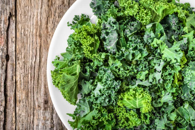 Grünkohl einfrieren & auftauen - die besten Tipps | foodwissen.de