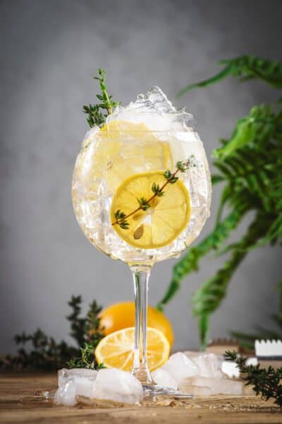 Chininhaltige Getränke: 6 leckere Getränke mit Chinin - foodwissen.de