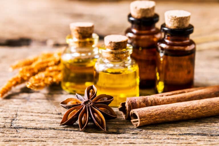 BackkakaoErsatz 7 schokoladige Alternativen zum Ersetzen