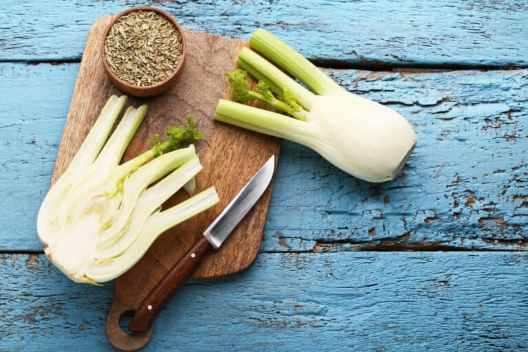 Fenchel einfrieren & auftauen so geht's richtig foodwissen.de
