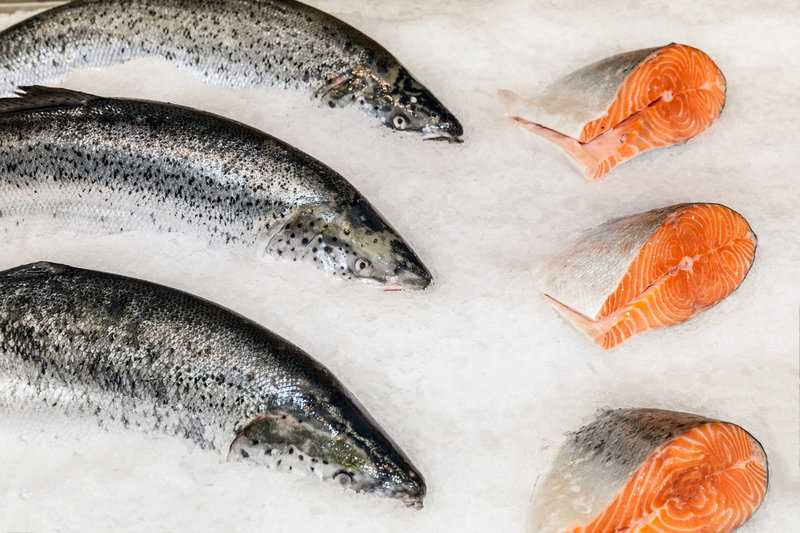 Forelle einfrieren: Unbedingt auf die Frische achten - foodwissen.de