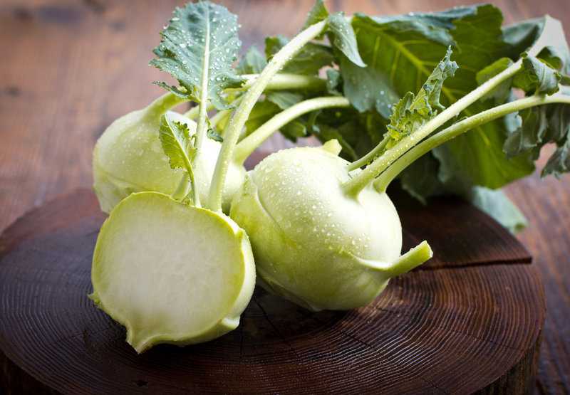 Gemüse mit O am Anfang (Liste mit vielen Bildern) foodwissen.de