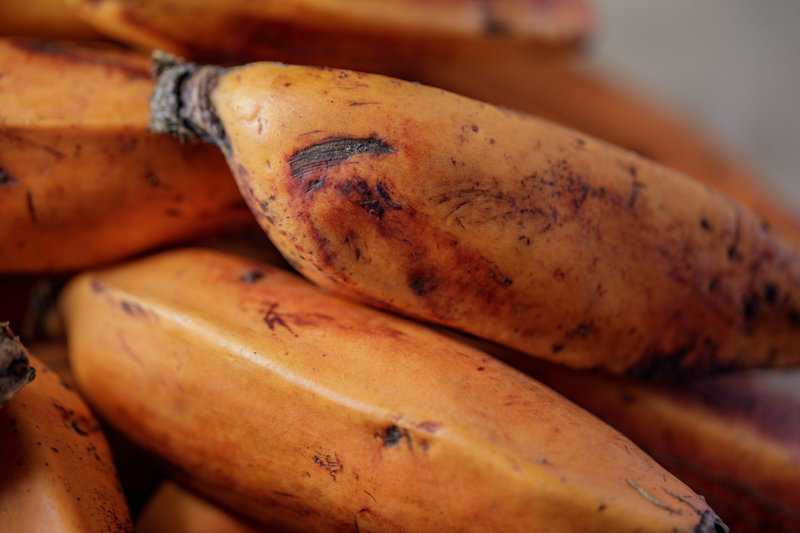 Obst Mit F Am Anfang Obst mit F am Anfang (Liste mit vielen Bildern) - foodwissen.de