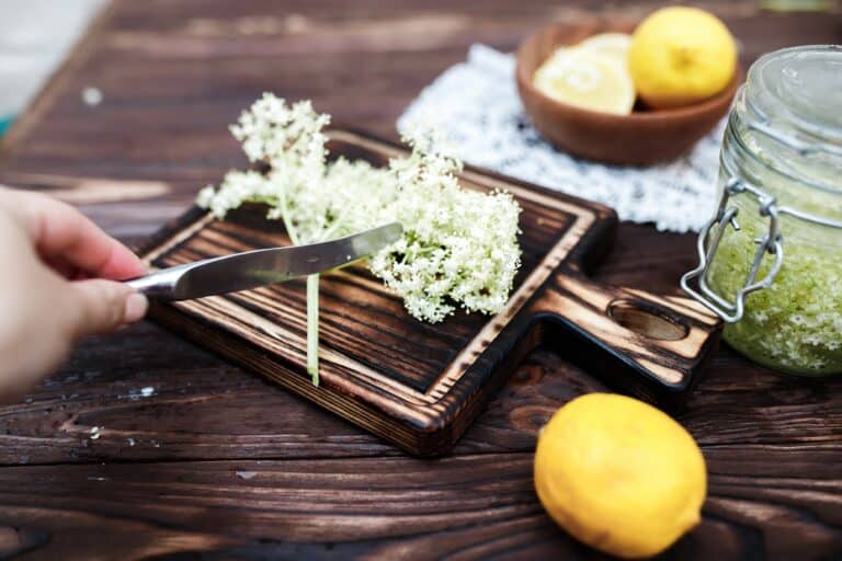 Holundersaft einkochen (geniale Tipps &amp; einfaches Rezept) - foodwissen.de