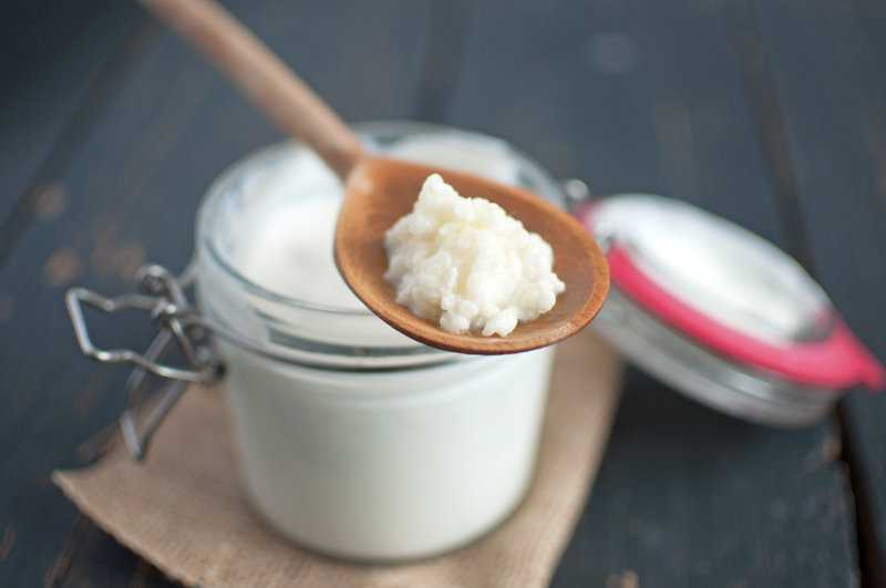 Kefir-Pilz Ansetzen