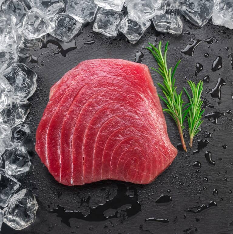 Haltbarkeit von frischem Thunfisch und Thunfisch aus der Dose