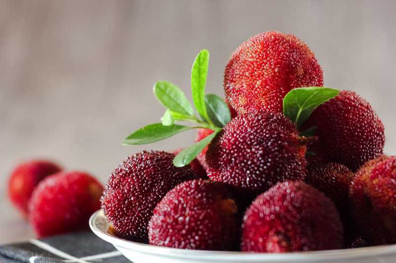 Obst mit Y am Anfang (Liste mit vielen Bildern) - foodwissen.de