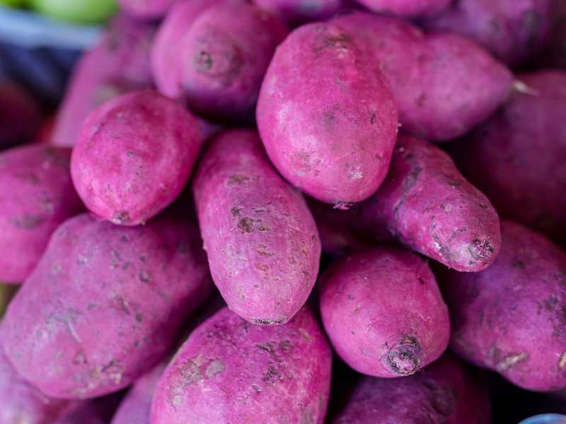Gemüse mit U am Anfang (Liste mit vielen Bildern) foodwissen.de