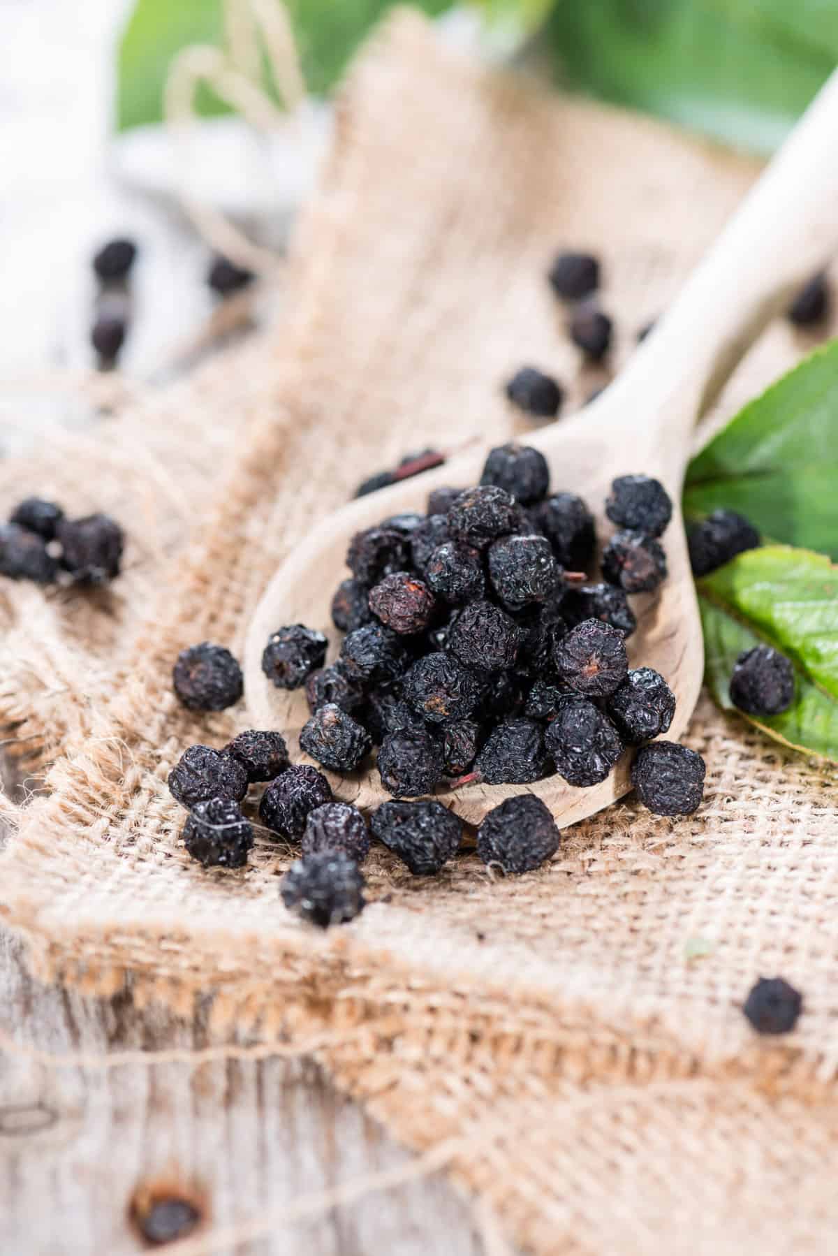 Spannende Trocknen Von Aroniabeeren Fotos