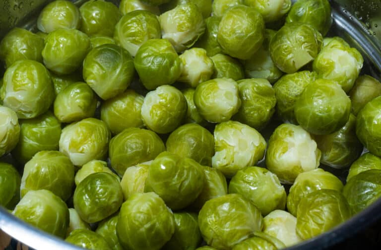 Rosenkohl aufwärmen so geht